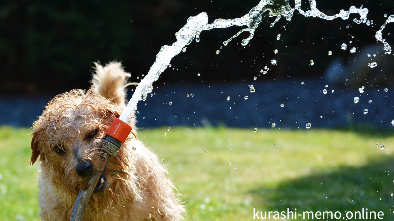 芝生はやめた方がいい理由は水やりが大変