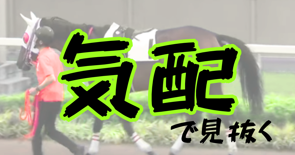 カテゴリ3:気配で見抜く!